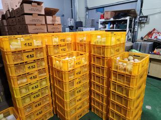 재거이님의 자유주제 · 자유게시판 작성글 사진