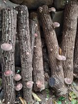 팜모닝 자유주제·사진전 게시글 이미지