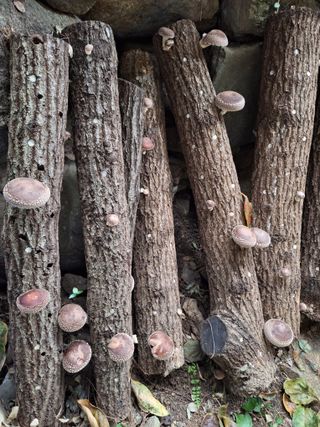 저금통님의 자유주제 · 사진전 작성글 사진