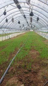 팜모닝 자유주제·자유게시판 게시글 이미지