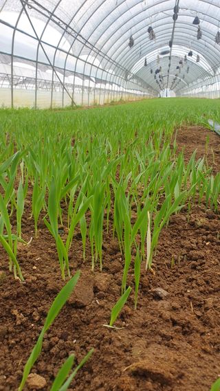 김인선님의 자유주제 · 자유게시판 작성글 사진