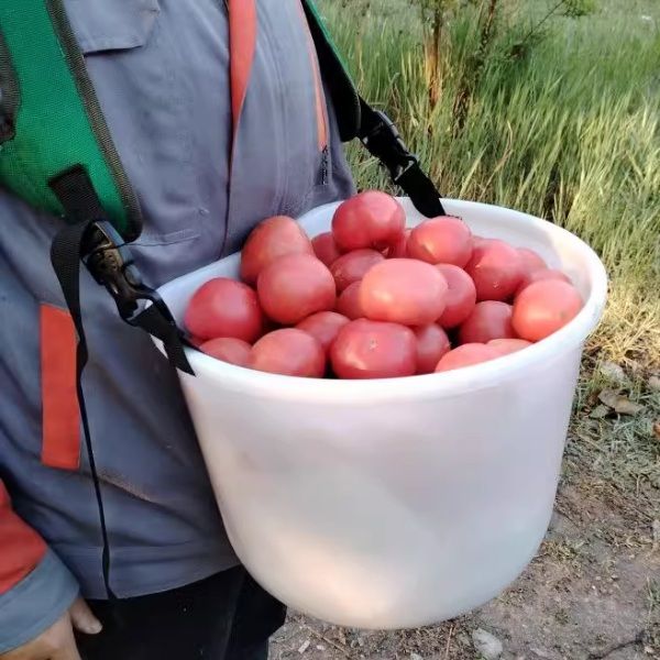 장터 상품 [수확바구니 수확가방 비료통 조개잡이통 채집바구니] 썸네일