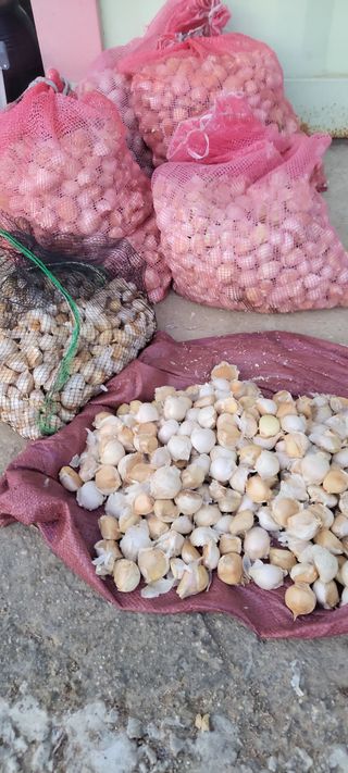 박정희 님의 자유주제 · 자유게시판 작성글 사진