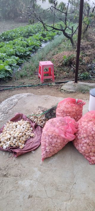 박정희 님의 자유주제 · 자유게시판 작성글 사진