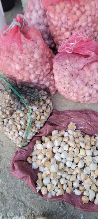 박정희 님의 자유주제 · 자유게시판 작성글 사진