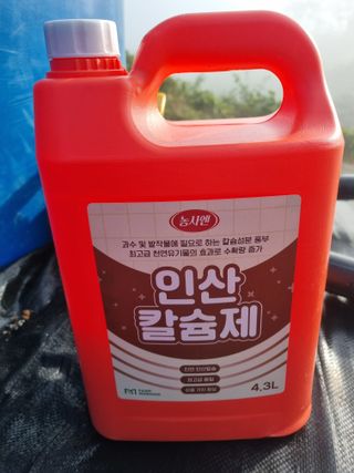 팜모닝회원 정정섭 님의 블루베리 · 자유게시판 작성글 사진