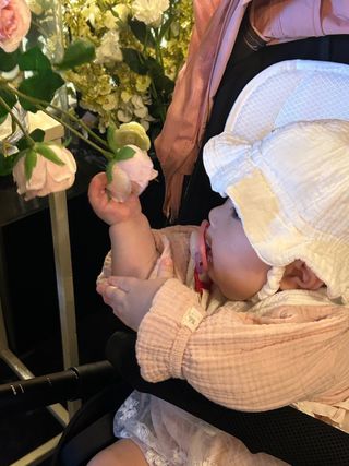 팜모닝회원 정정섭 님의 블루베리 · 자유게시판 작성글 사진