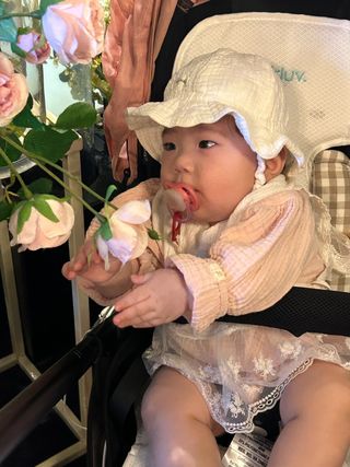 팜모닝회원 정정섭 님의 블루베리 · 자유게시판 작성글 사진