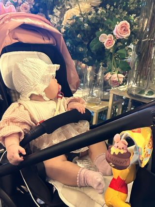 팜모닝회원 정정섭 님의 블루베리 · 자유게시판 작성글 사진