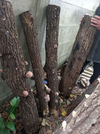 김영문님의 자유주제 · 자유게시판 작성글 사진