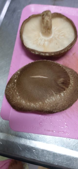 김영문님의 자유주제 · 자유게시판 작성글 사진