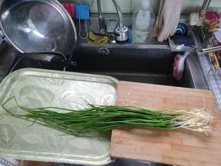 샤이니바다님의 파 · 영농일지 작성글 사진