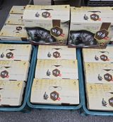 팜모닝 · 게시글 이미지