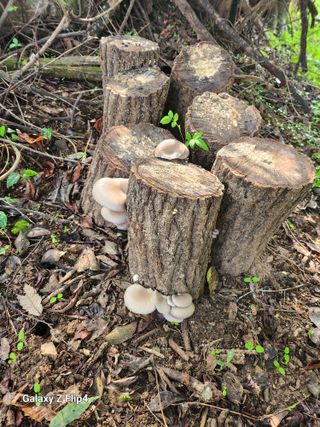 성낙신 님의 자유주제 · 자유게시판 작성글 사진