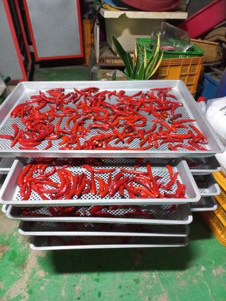 이성민님의 자유주제 · 자유게시판 작성글 사진