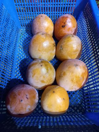 이성민님의 자유주제 · 자유게시판 작성글 사진