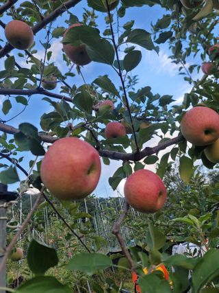 김재현님의 자유주제 · 자유게시판 작성글 사진