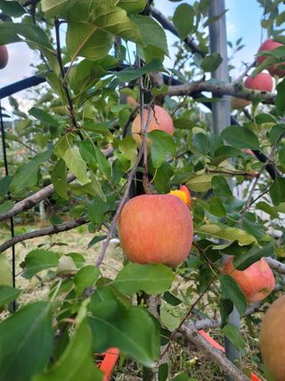 김재현님의 자유주제 · 자유게시판 작성글 사진