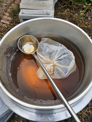 왕개미님의 두릅 · 영농일지 작성글 사진