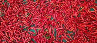 정진해님의 자유주제 · 자유게시판 작성글 사진