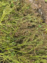 팜모닝 자유주제·자유게시판 게시글 이미지