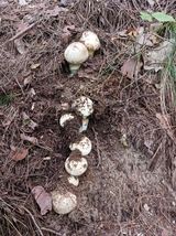 팜모닝 자유주제·사진전 게시글 이미지