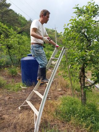 시금치14692님의 사과 · 영농일지 작성글 사진