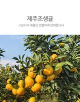 팜모닝 자유주제·자유게시판 게시글 이미지