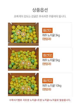 정유진님의 자유주제 · 자유게시판 작성글 사진