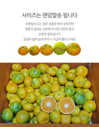 정유진님의 자유주제 · 자유게시판 작성글 사진