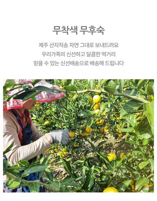정유진님의 자유주제 · 자유게시판 작성글 사진