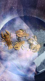 팜모닝 자유주제·자유게시판 게시글 이미지