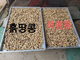 수랏간 농원 안승호님의 작성글 사진