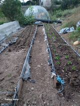 팜모닝 파·영농일지 게시글 이미지