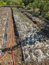 팜모닝 마늘·영농일지 게시글 이미지