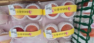 달맛햇복숭아농원님의 자유주제 · 자유게시판 작성글 사진