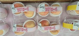 달맛햇복숭아농원님의 자유주제 · 자유게시판 작성글 사진