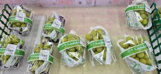 달맛햇복숭아농원님의 자유주제 · 자유게시판 작성글 사진