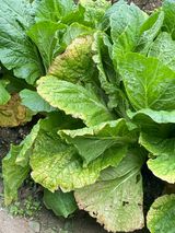 팜모닝 자유주제·자유게시판 게시글 이미지