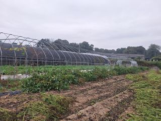 팔칠이님의 자유주제 · 자유게시판 작성글 사진