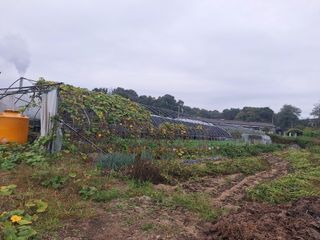 팔칠이님의 자유주제 · 자유게시판 작성글 사진