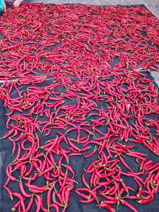 이상응님의 자유주제 · 자유게시판 작성글 사진