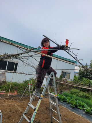 노경자님의 포도 · 영농일지 작성글 사진