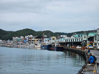 노가네수산님의 자유주제 · 자유게시판 작성글 사진