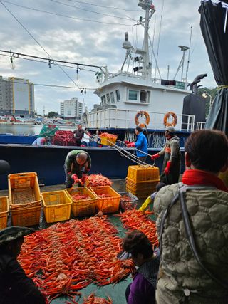 노가네수산님의 자유주제 · 자유게시판 작성글 사진