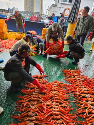 노가네수산님의 자유주제 · 자유게시판 작성글 사진