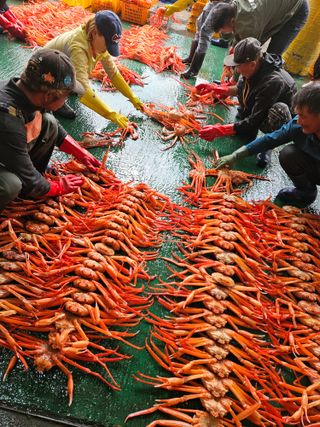 노가네수산님의 자유주제 · 자유게시판 작성글 사진