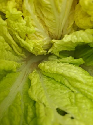 농촌사랑님의 자유주제 · 자유게시판 작성글 사진