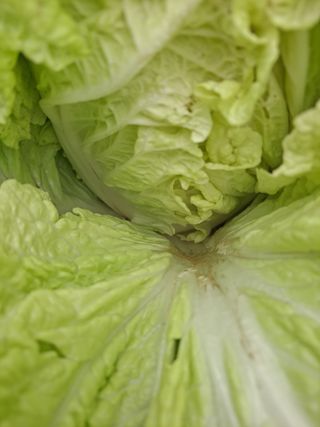 농촌사랑님의 자유주제 · 자유게시판 작성글 사진