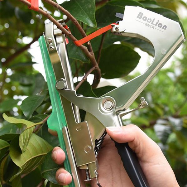 장터 상품 [농업용 결속기 결속끈 식물유도 유인끈 유인결속 포도 고추 오이 열매 고추끈 식물끈 줄기끈 가지끈] 썸네일